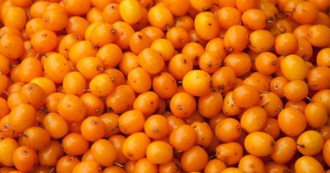 Moonsun Organic Hudvård