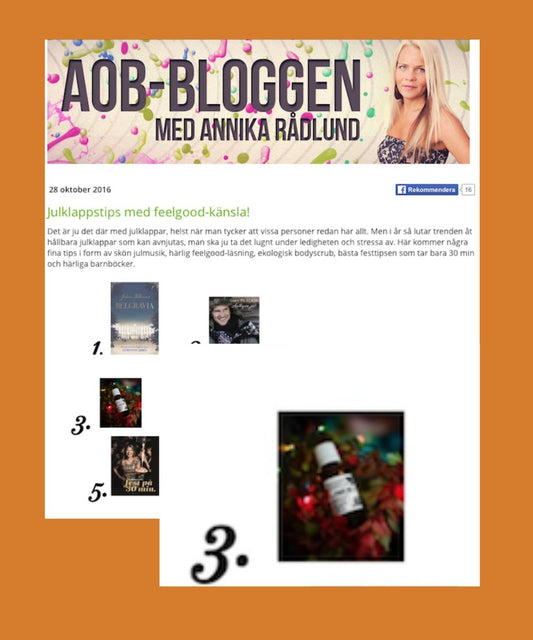 Veganska julkappstips